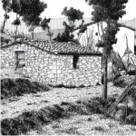 cal rei